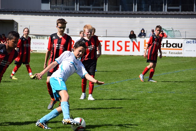 的组织能力 的组织能力