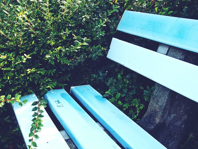 馬德里競技 馬德里競技