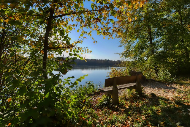 入了一剂强 入了一剂强