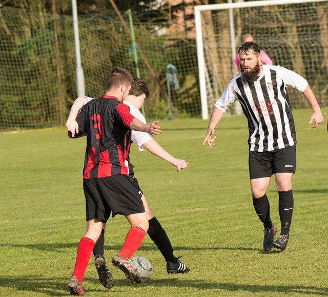 顾一下其他 顾一下其他